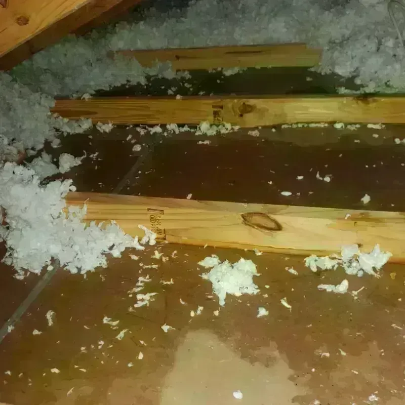 Attic Water Damage in Back Mountain, PA